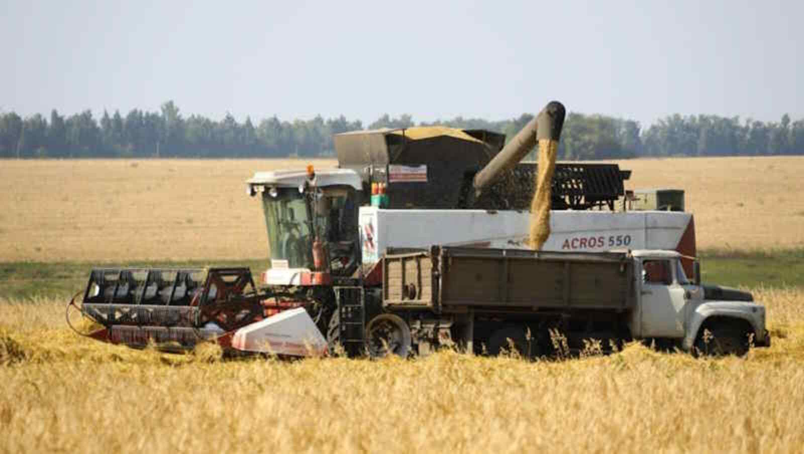 Дожди замедлили уборку