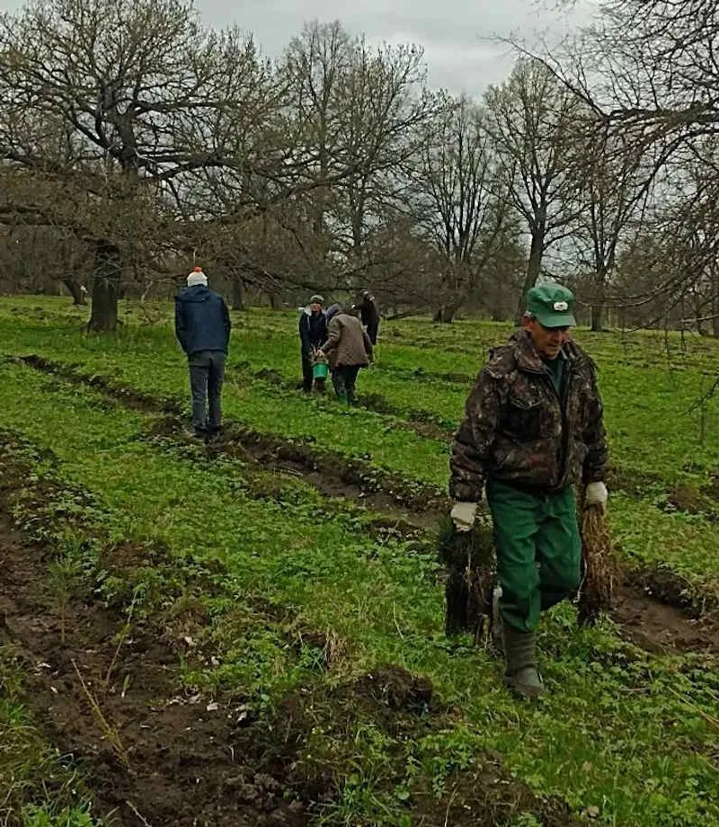 Вместе – за «зелёный» мир