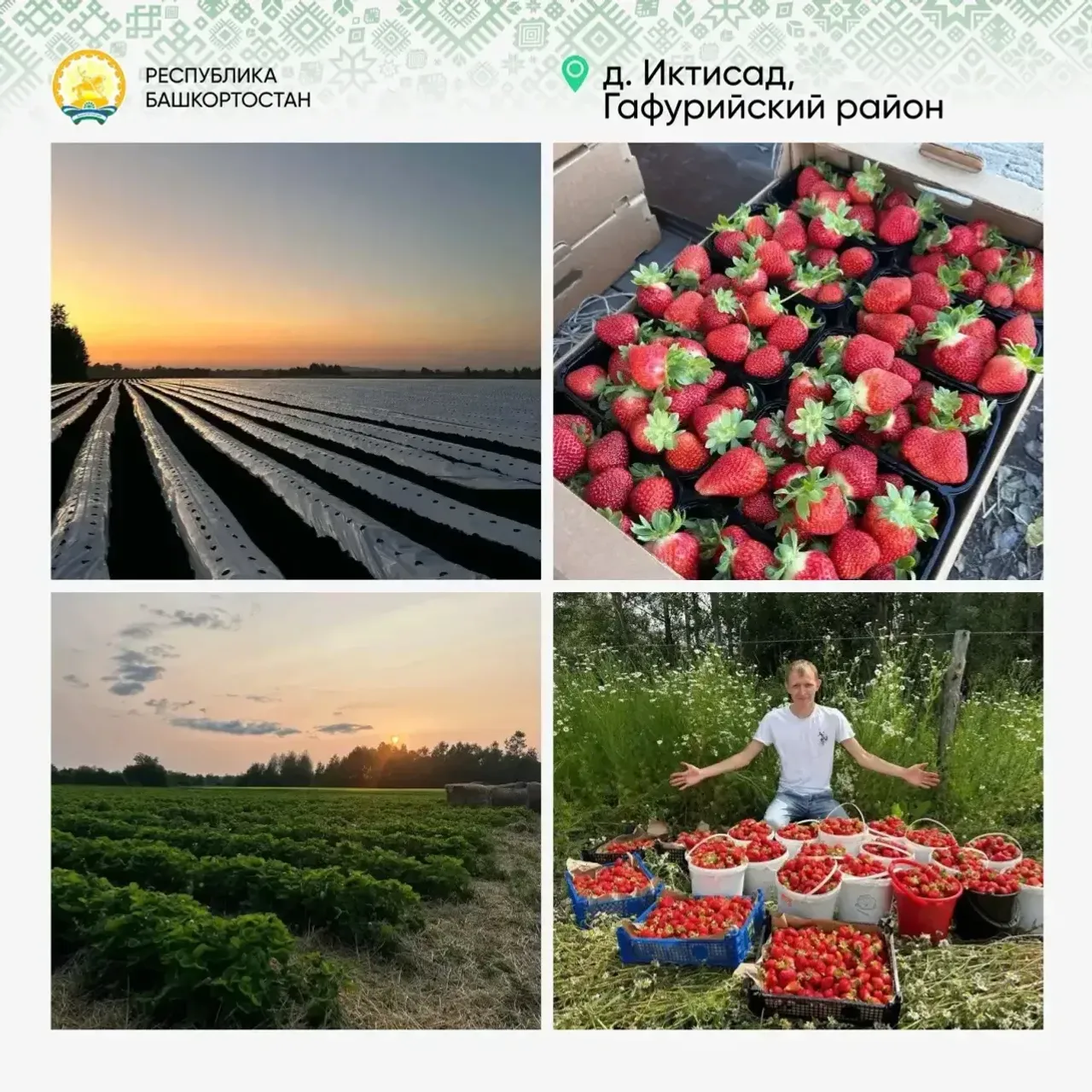В Башкирии малый бизнес в 2025 году предложил 4 тысячи инвестпроектов
