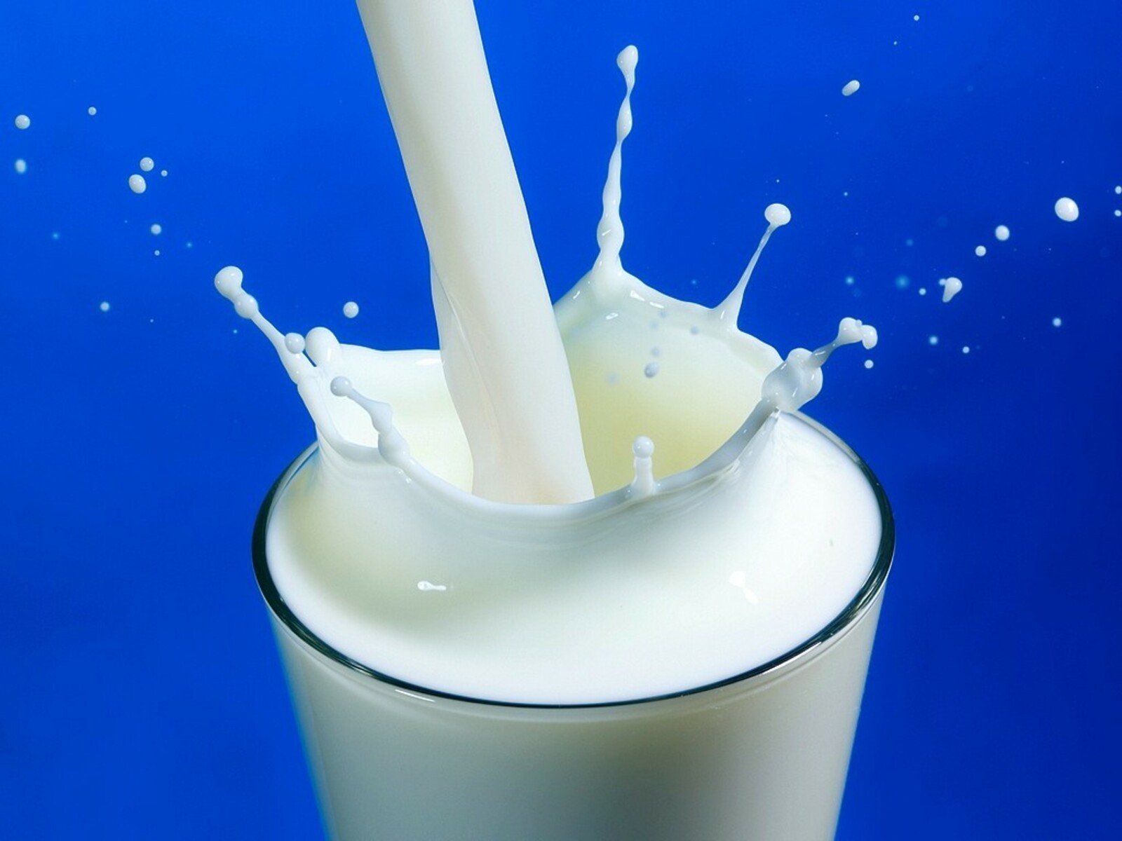 Башкирия нарастила экспорт молочной продукции в Китай