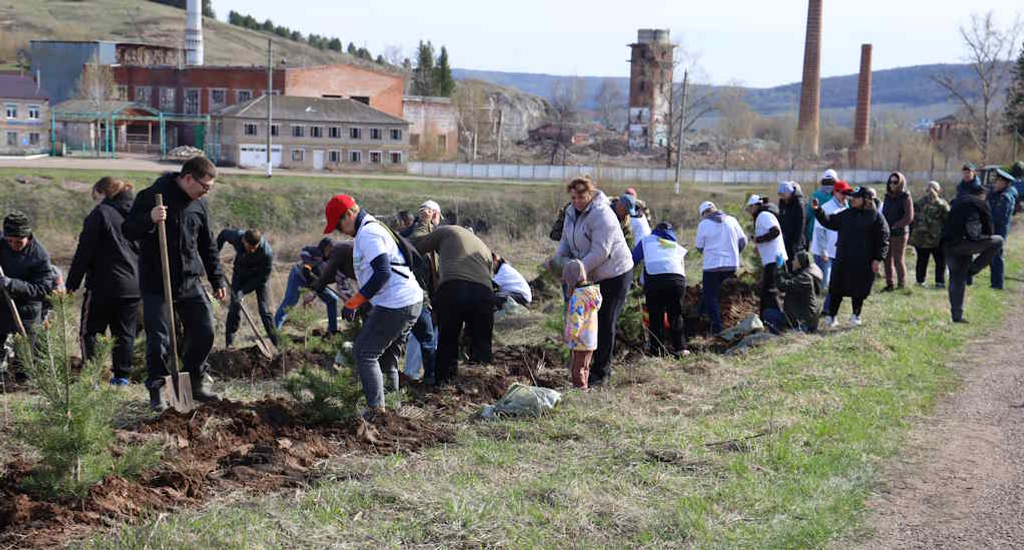 500 молодых деревьев