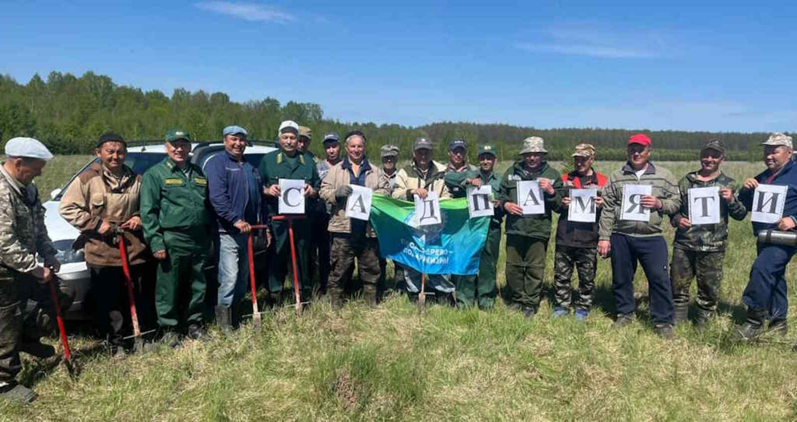 Ещё 12 тысяч сосен