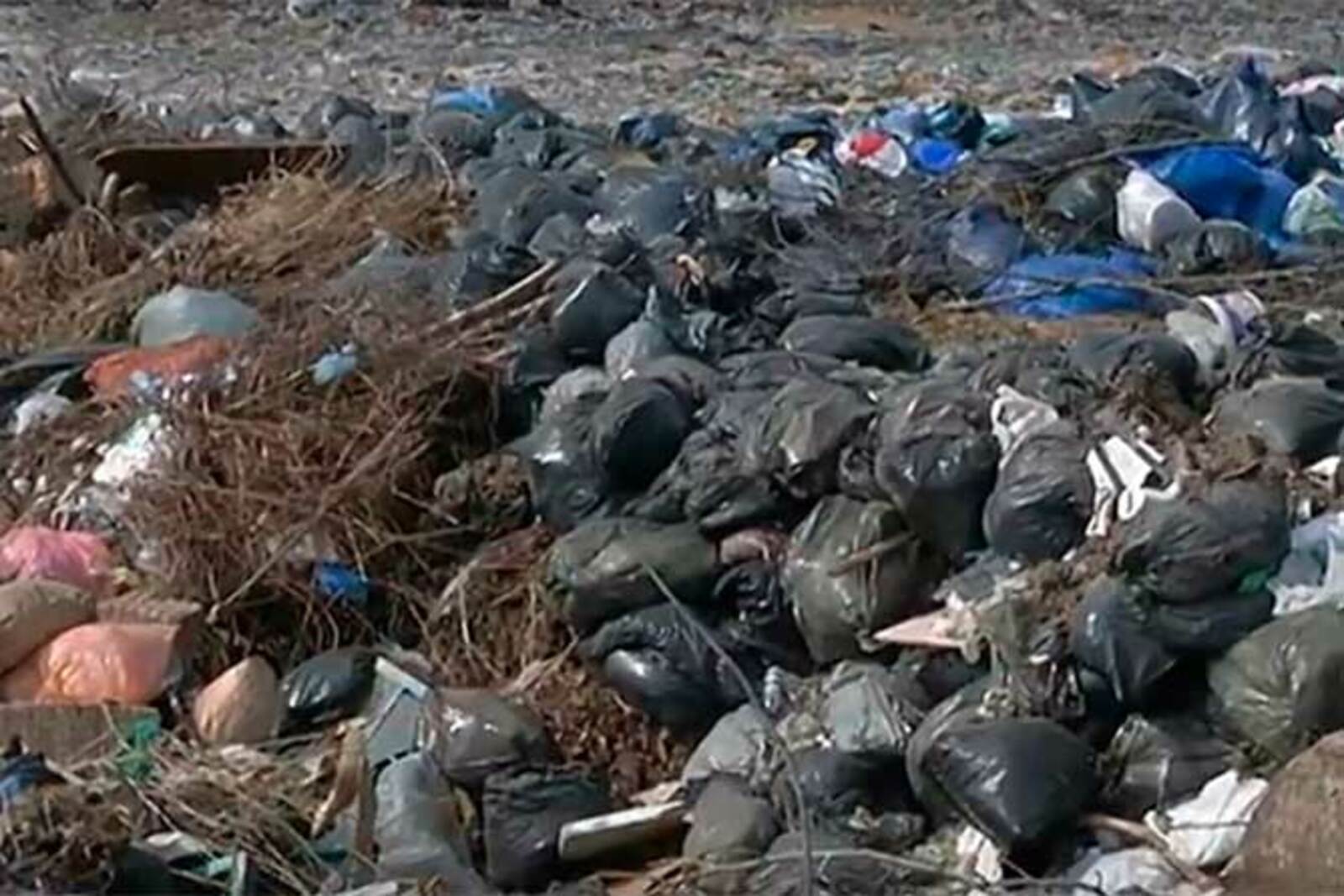 В России нашли способ избавиться от махинаций с мусором