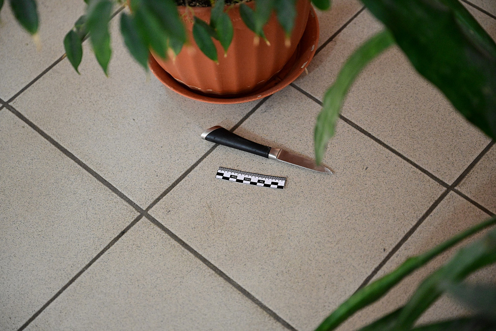 Р. Хабиров: если факт буллинга в уфимской школе подтвердится, руководство уволят