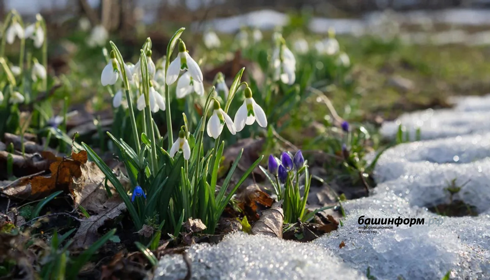 В Башкирии на следующей неделе ожидается переменчивая погода с дождем