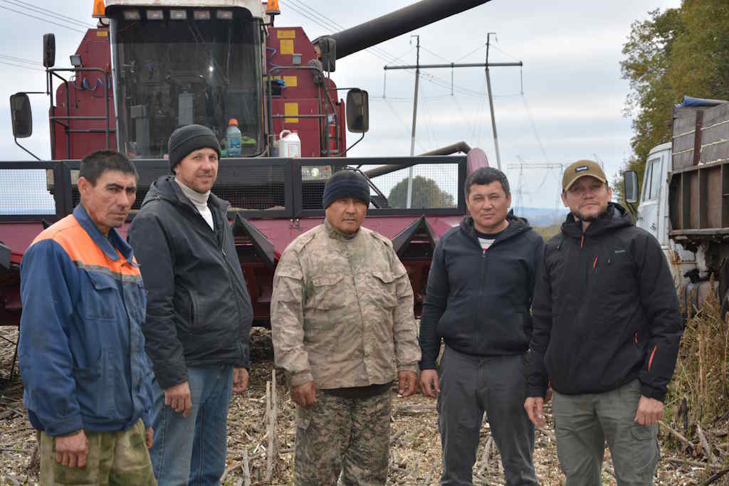 От поля до прилавка