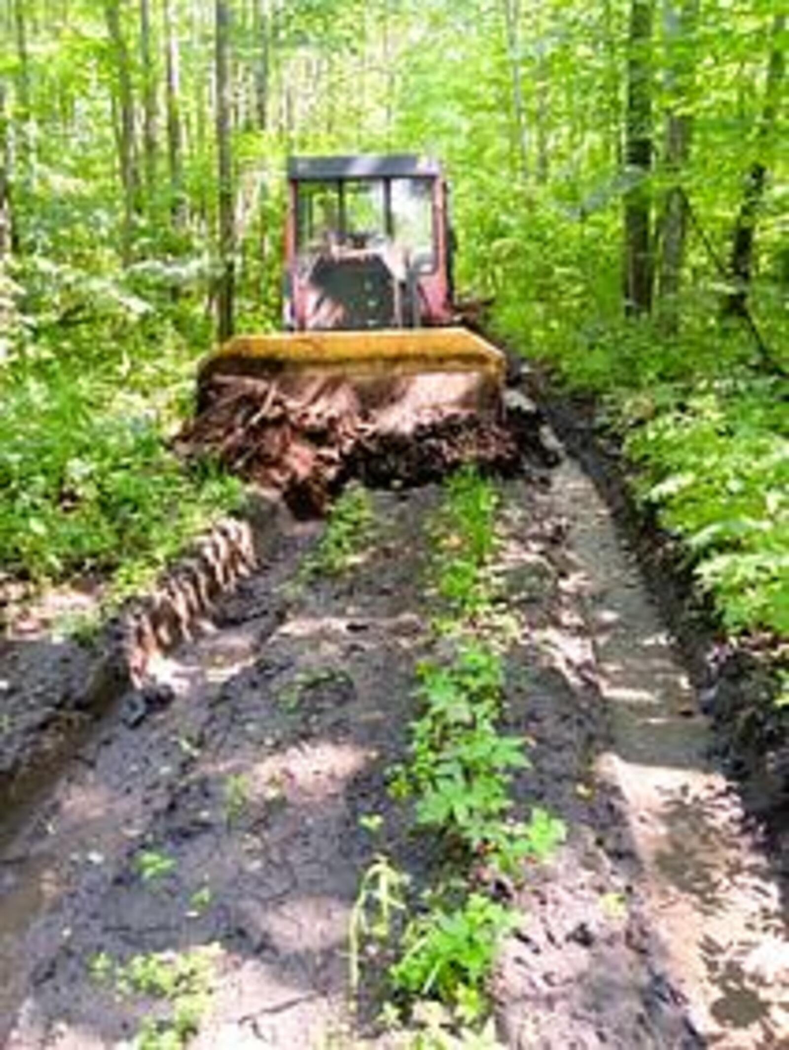 В Башкортостане создано и реконструировано более 240 км лесных дорог