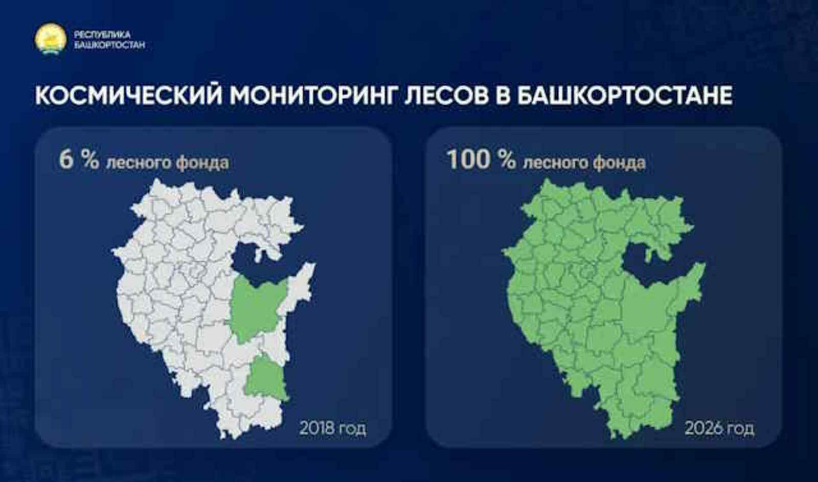 Лес – под контроль