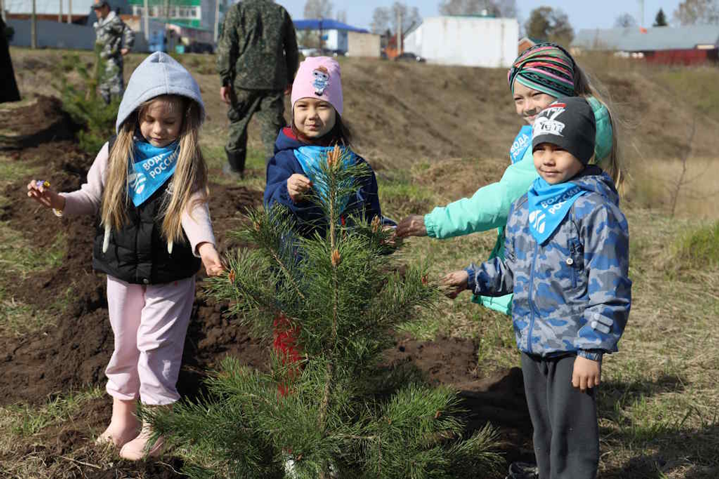 500 молодых деревьев