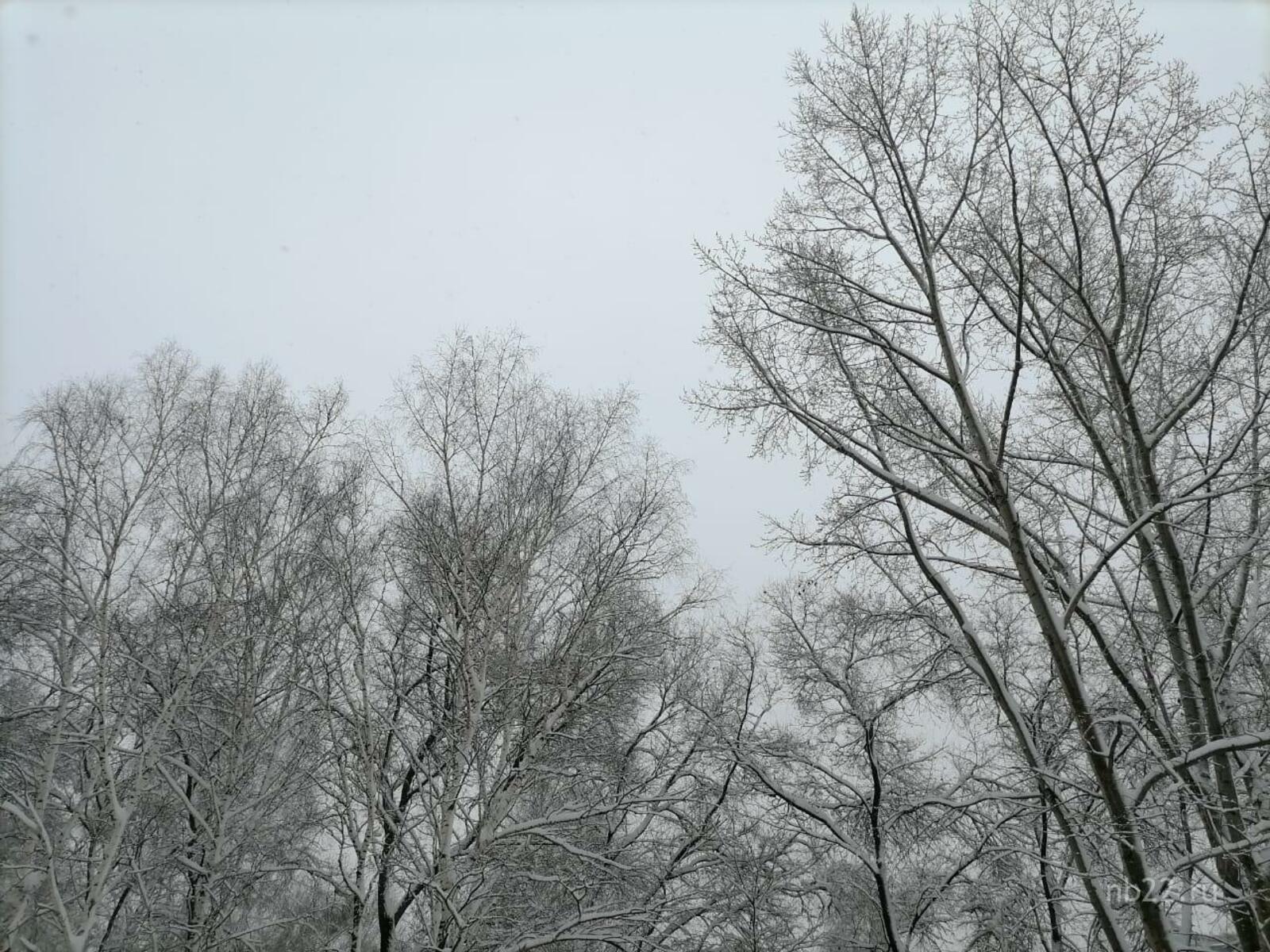 В Башкирии синоптики дали прогноз погоды на новогоднюю ночь и январские каникулы
