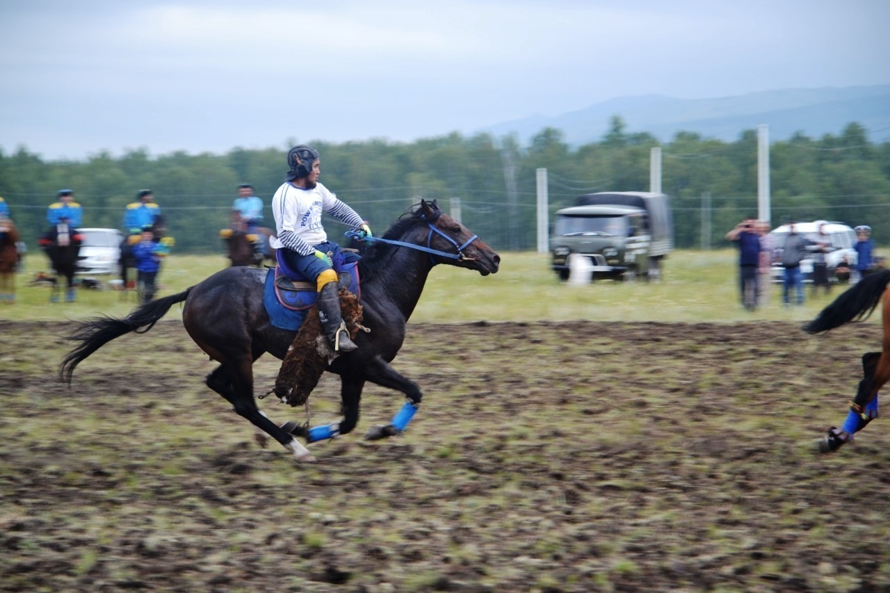В Баймакском районе фестиваль башкирской лошади начался с козлодрания