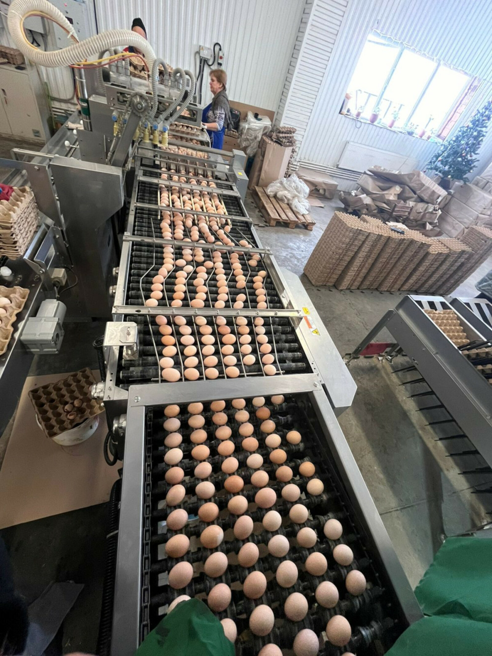 Предприниматель из Гафурийского района планирует получать 45 млн яиц в год