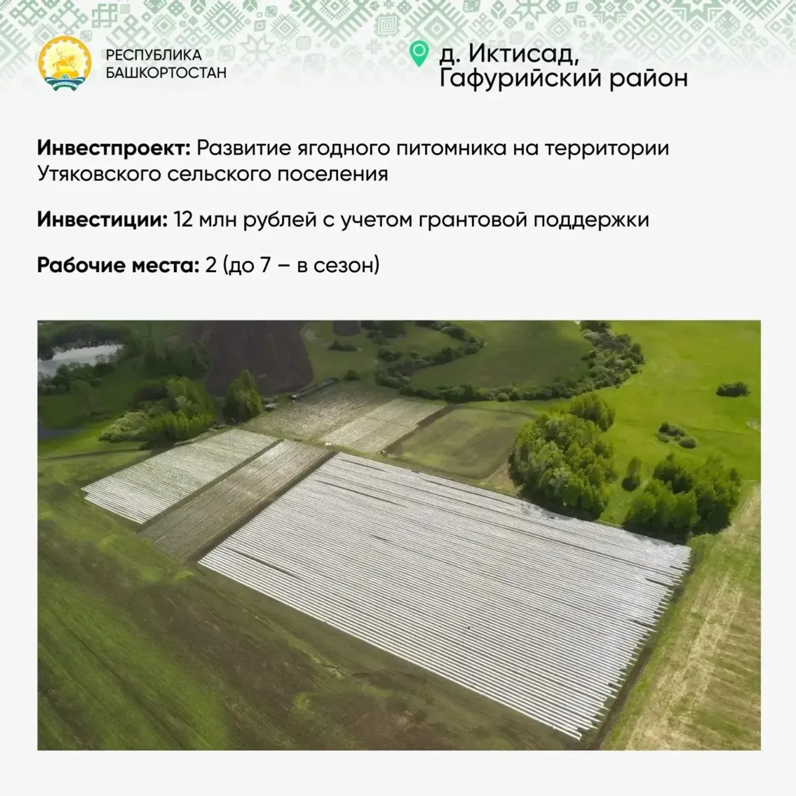 В Башкирии малый бизнес в 2025 году предложил 4 тысячи инвестпроектов