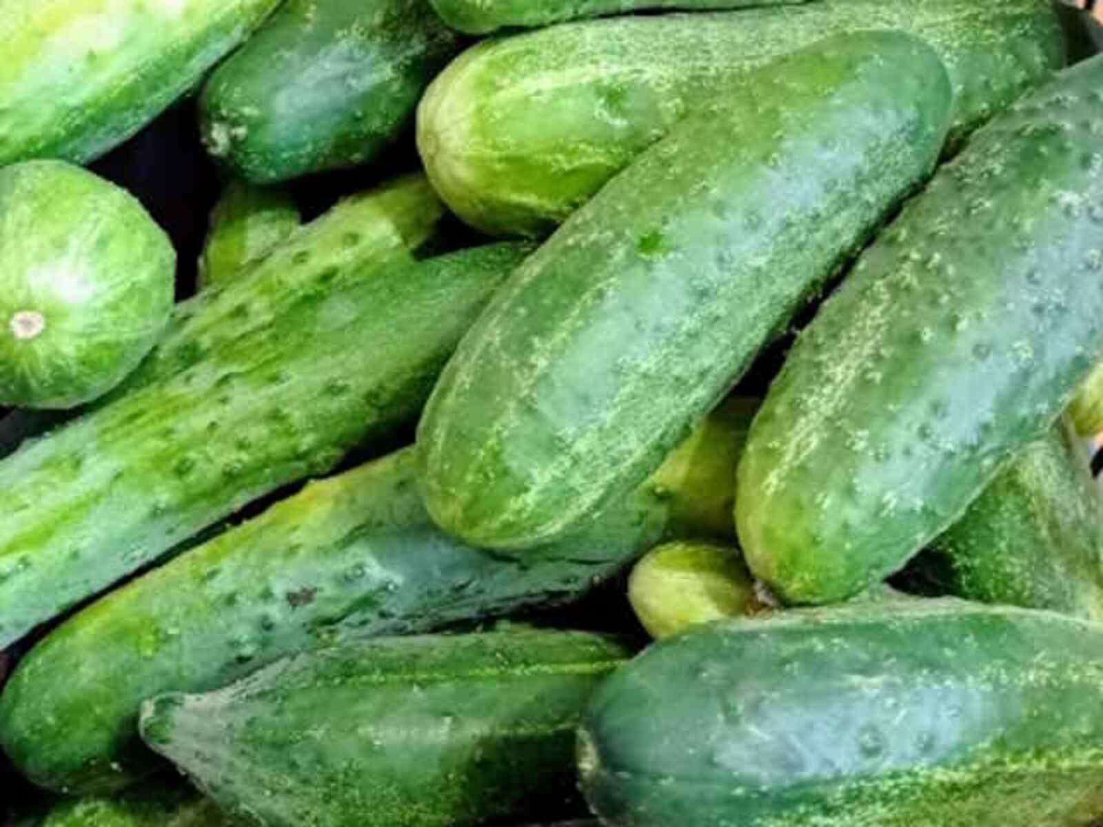 В Башкирии пошли на спад цены на огурцы