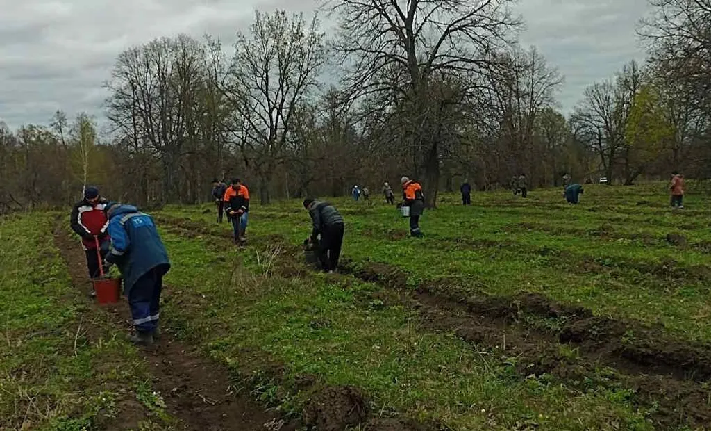 Вместе – за «зелёный» мир