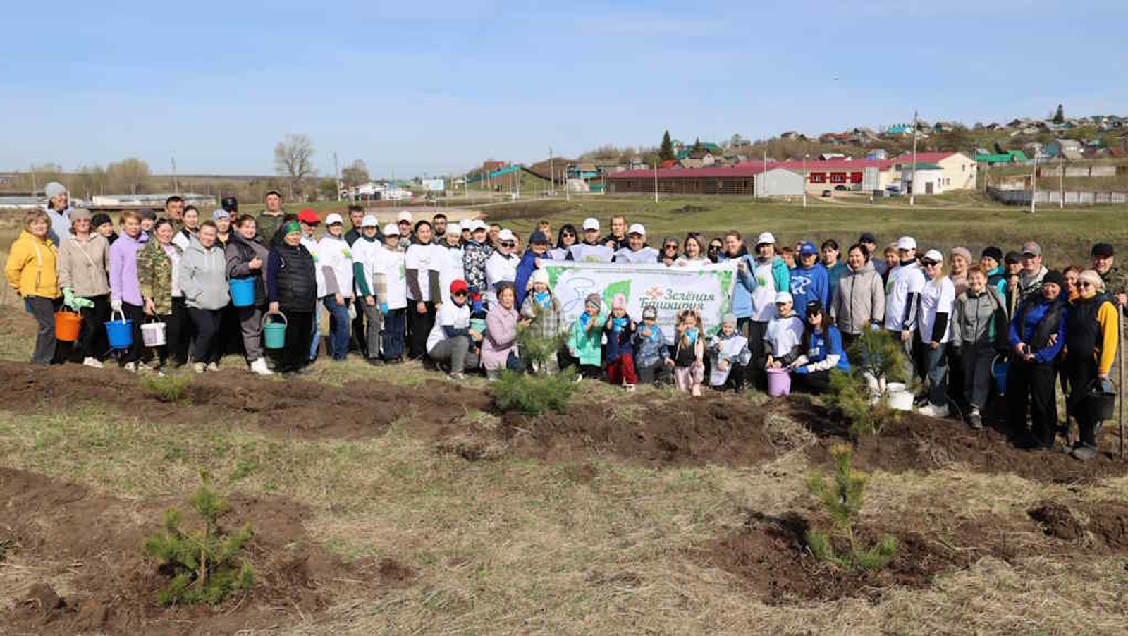 500 молодых деревьев