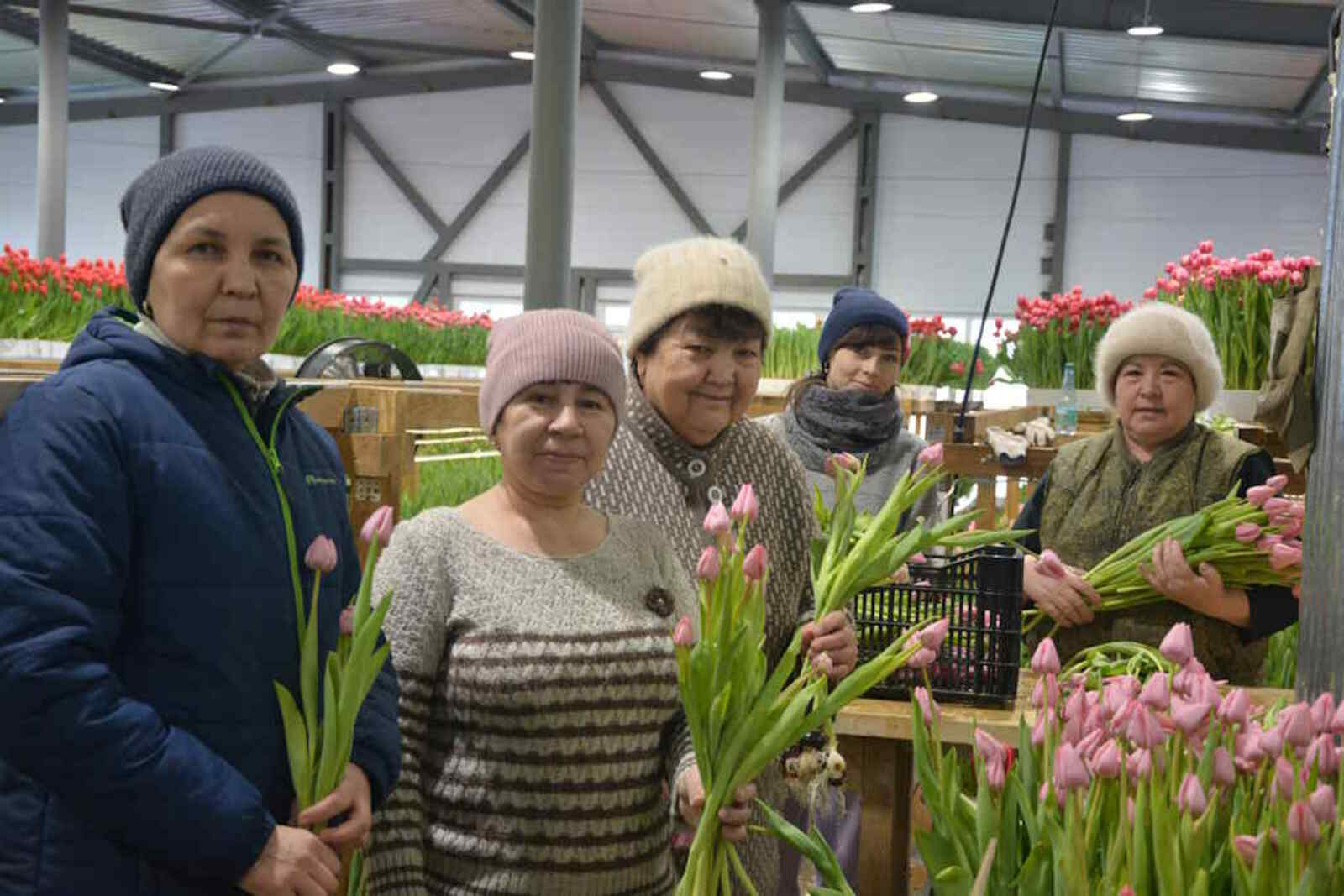 Полмиллиона тюльпанов к 8 Марта