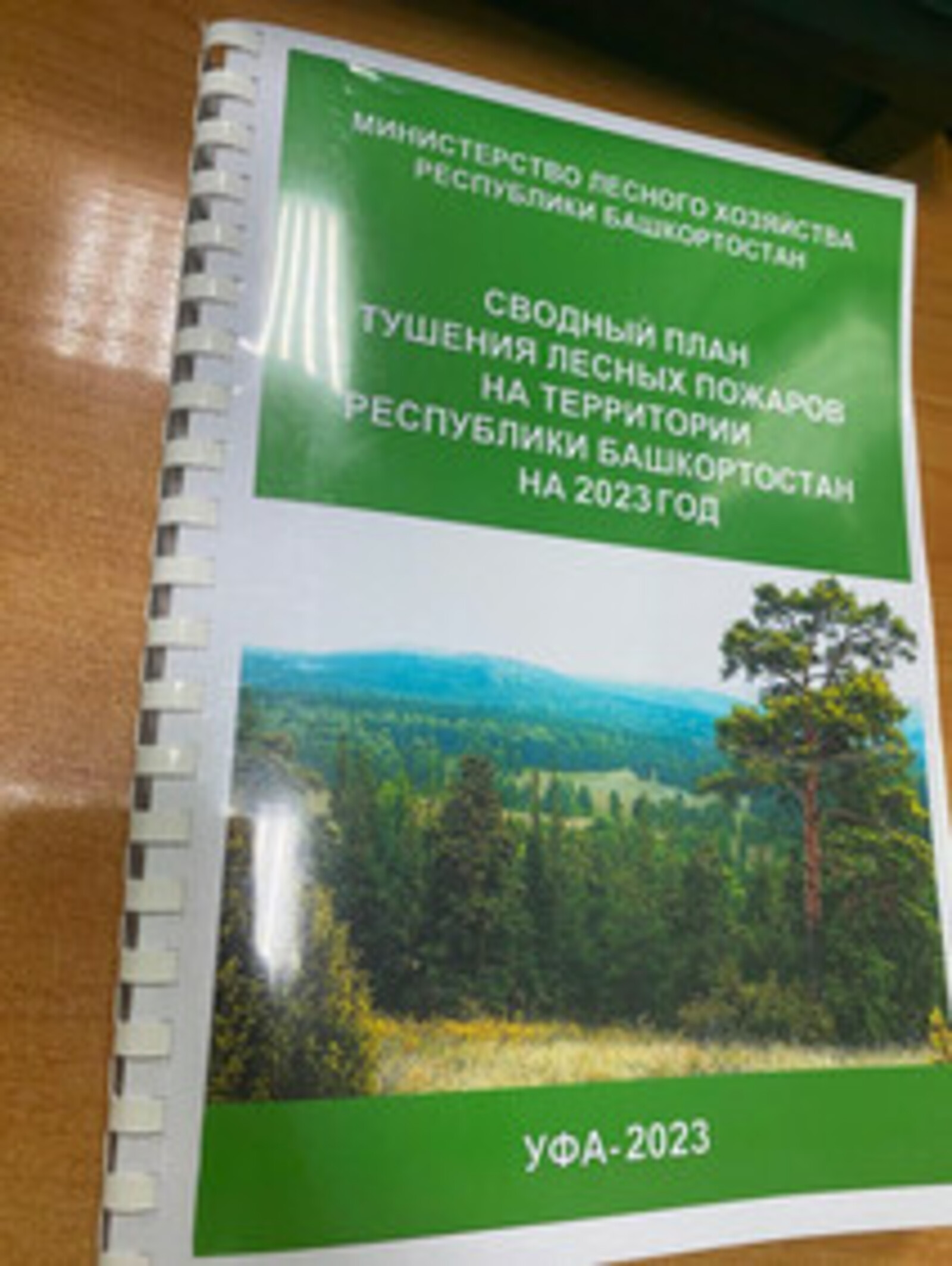 Утвержден "Сводный план тушения лесных пожаров на территории Республики Башкортостан на 2023 год"