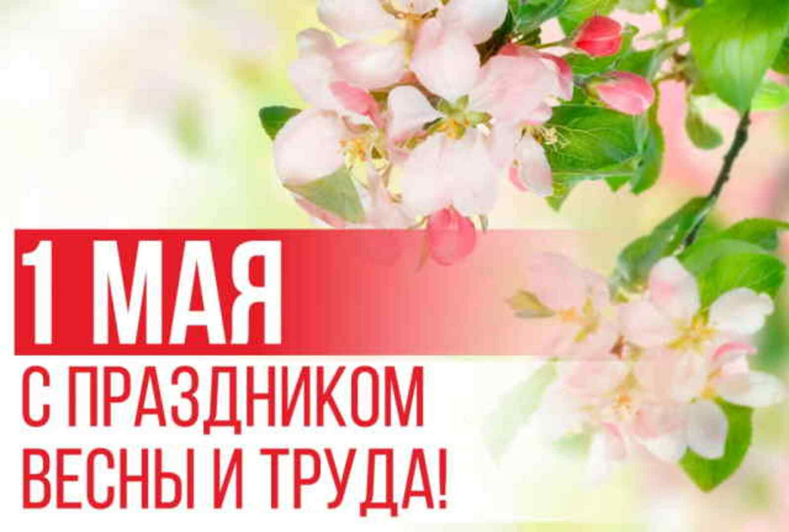 С Днём Весны и Труда!