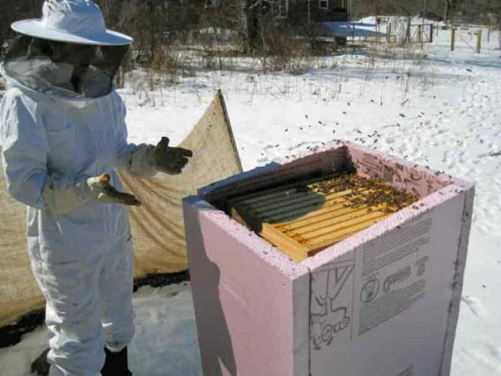 Готовим пчёл к зиме