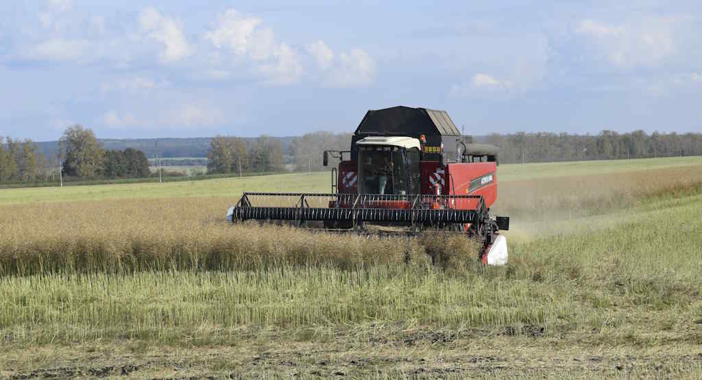 Щедрый нынче урожай!