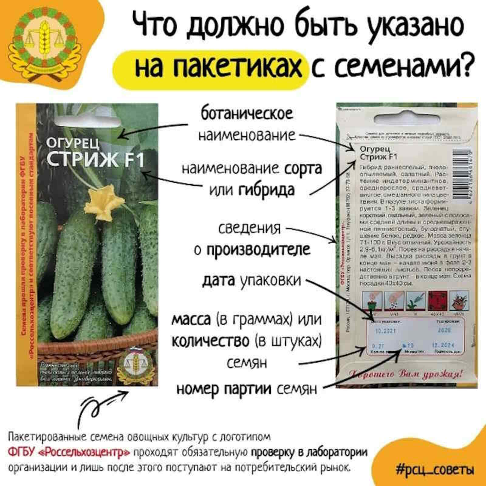 Как выбрать семена для успешного урожая