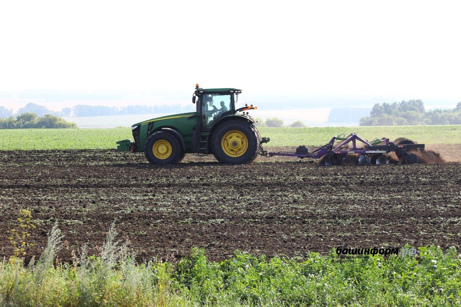 Башкирия привлекла 4,2 млрд рублей федеральных средств на развитие АПК