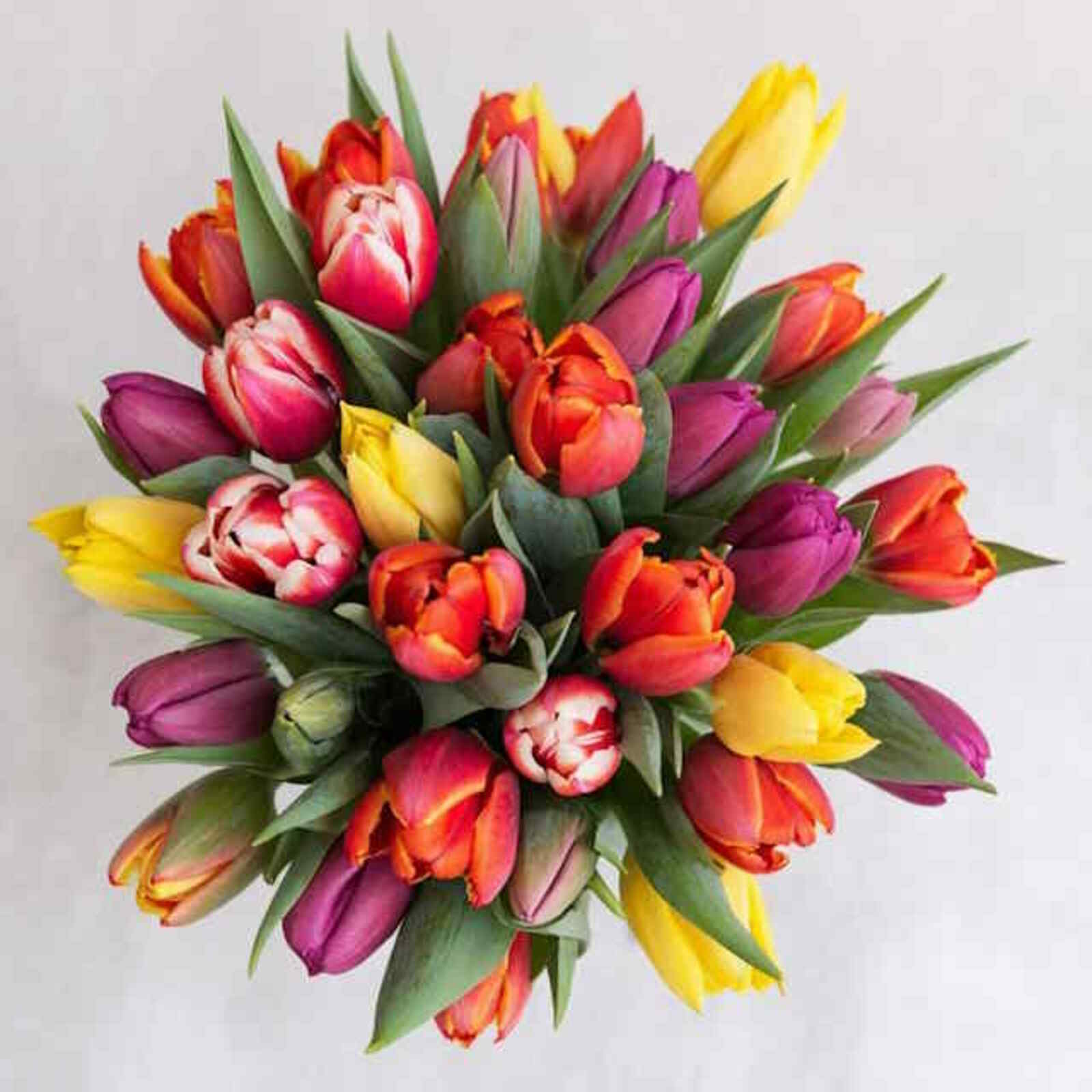 С Днём работников ЖКХ и бытового обслуживания!