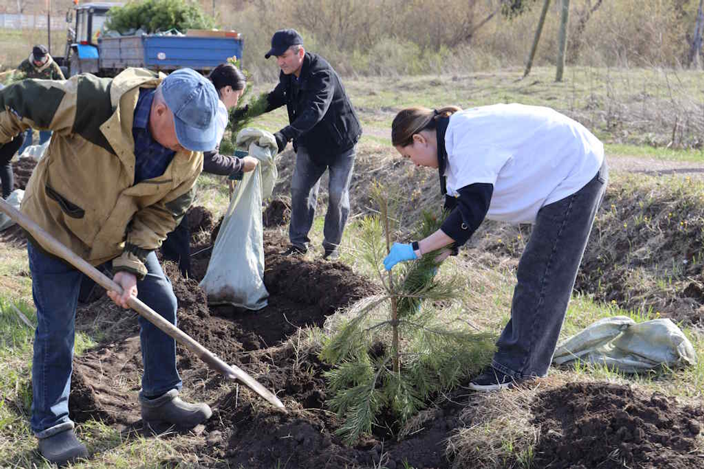 500 молодых деревьев