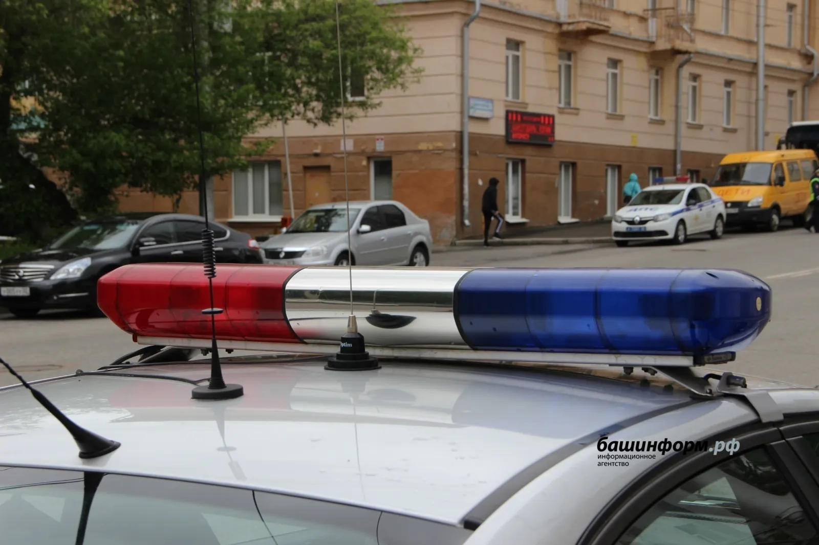 Без номеров, без прав и без тормозов...