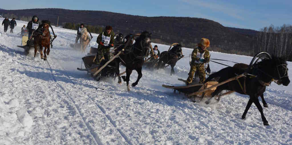 И проснулась степь от топота копыт…