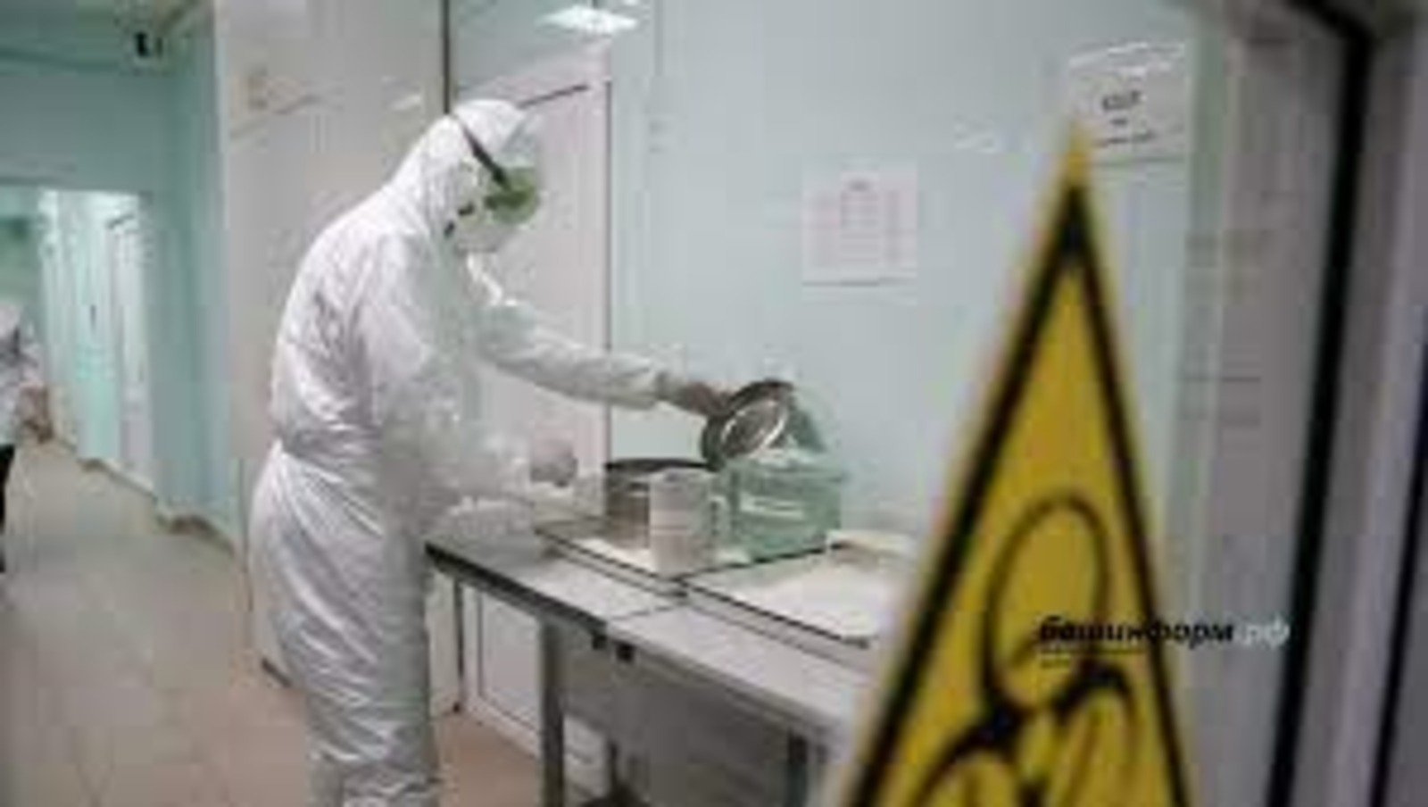 В России начал распространяться новый штамм коронавируса - «Пирола»