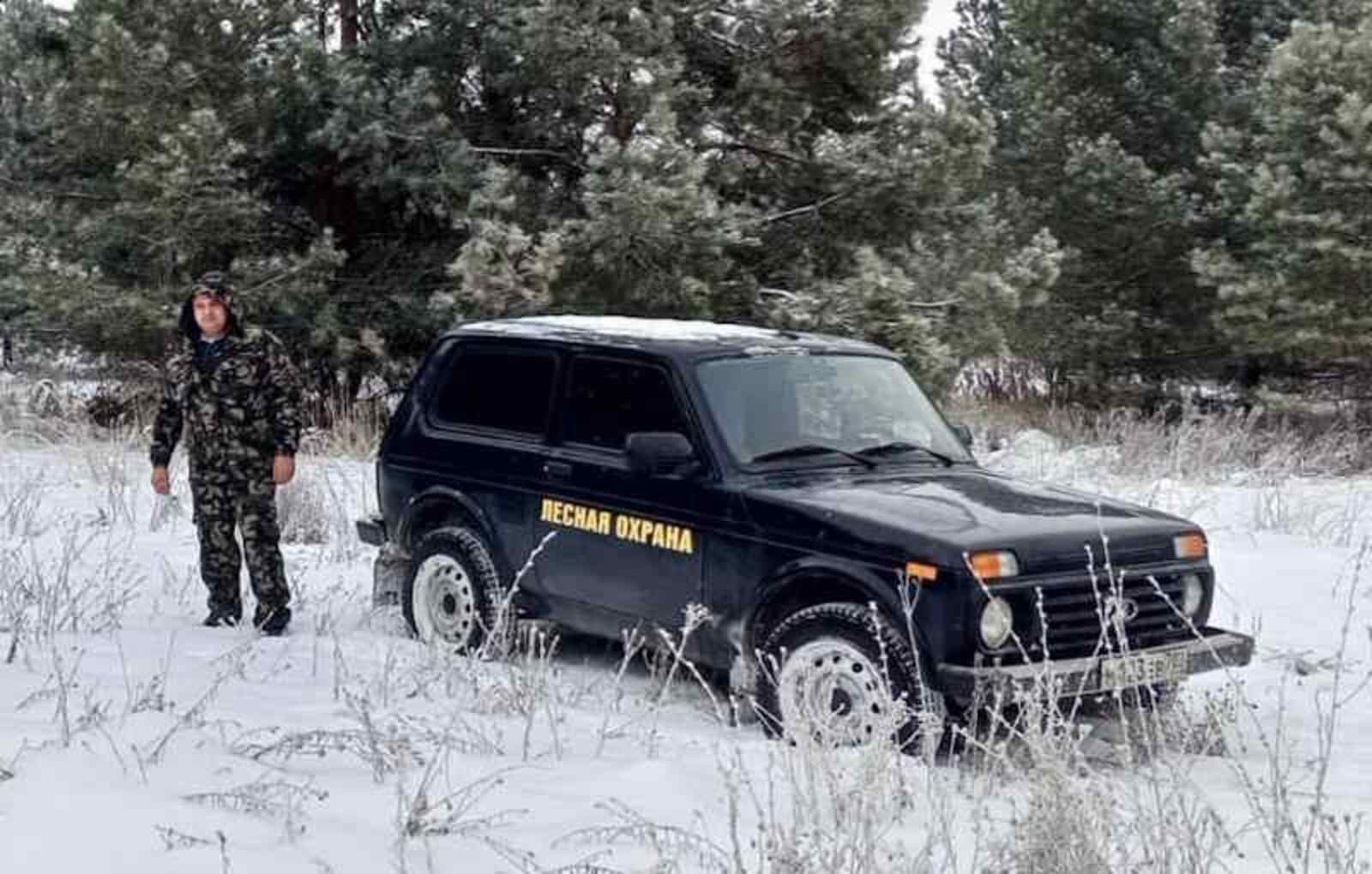 Стартовала операция «Ель-2025»