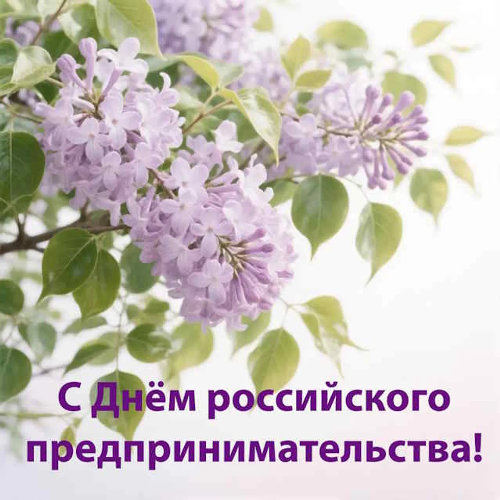 С Днём предпринимательства!