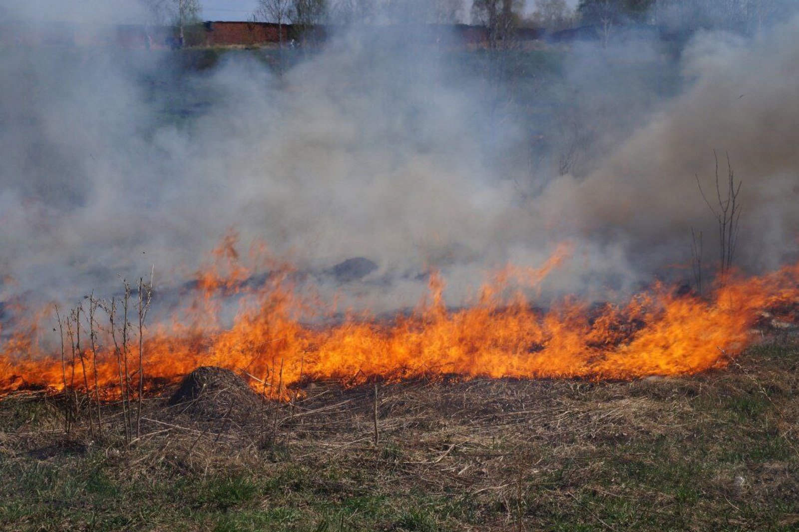 С 27 апреля на территории Башкортостана вводится особый противопожарный режим