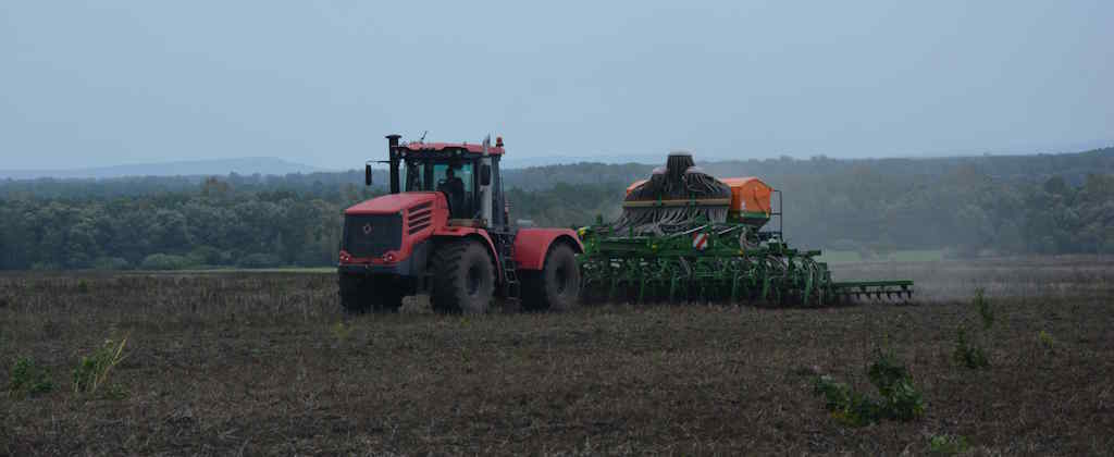 Вот где дождь не помеха