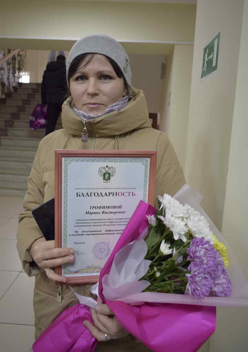 Сохранить задел и двигаться вперёд