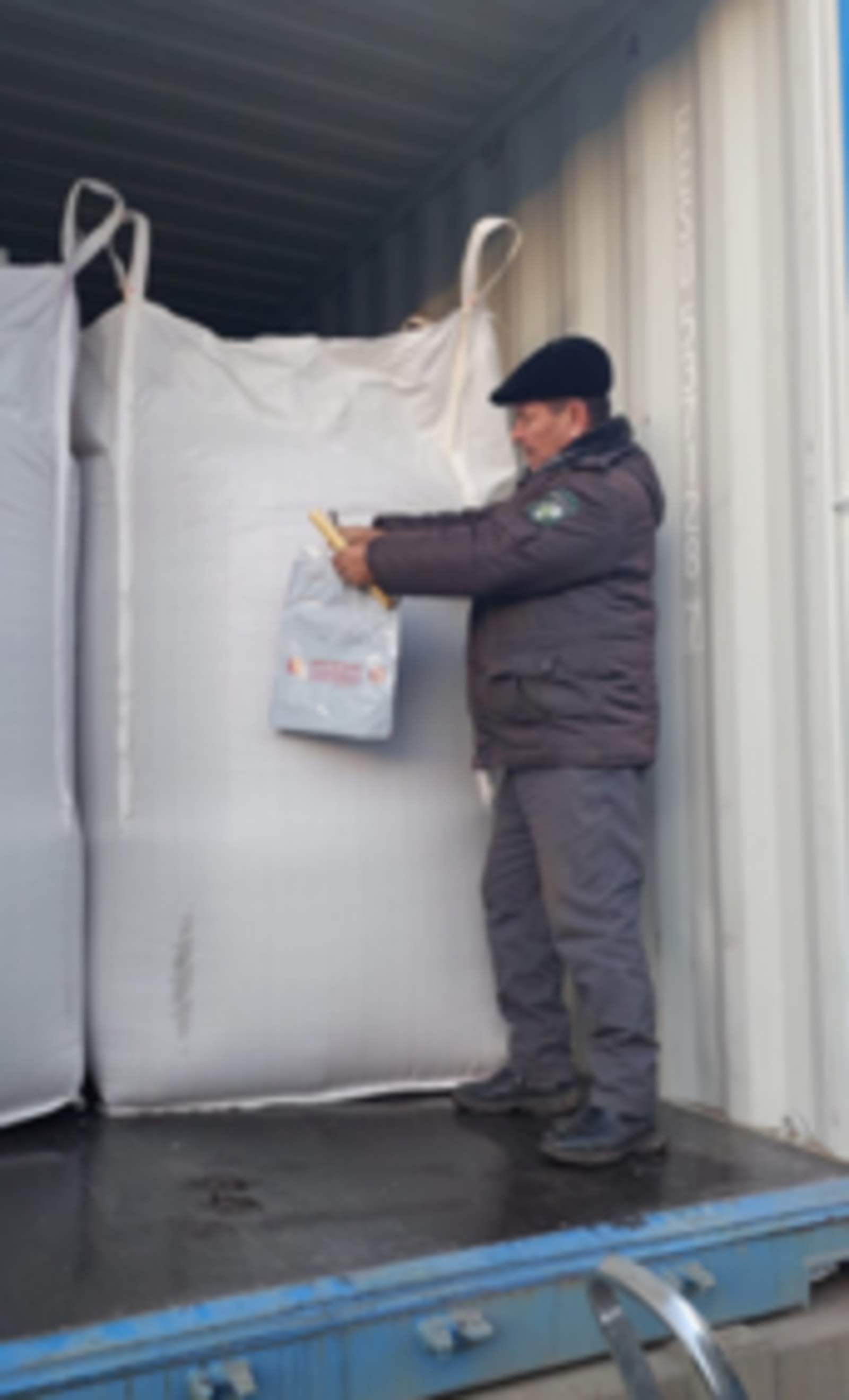 Башкортостан отправил на экспорт 20 тонн семян нута