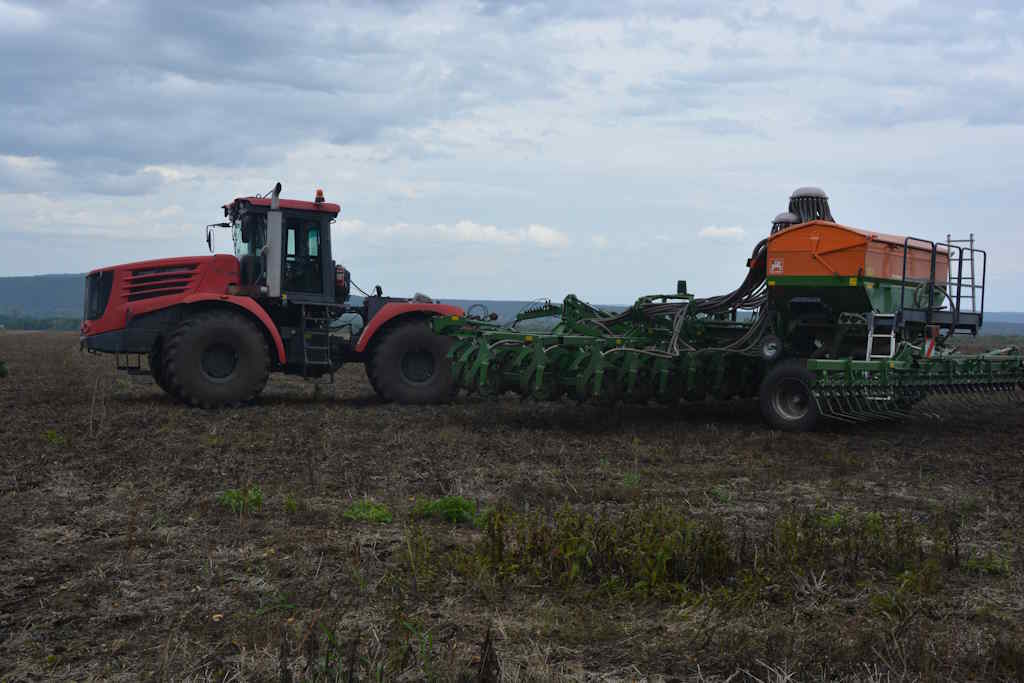 Вот где дождь не помеха