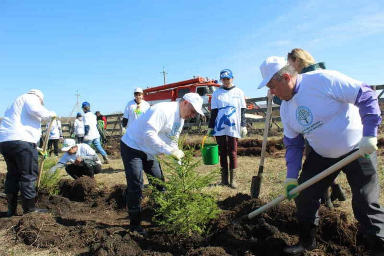 В Башкортостане в ходе акции «Сады Памяти» высадили более 250 тысяч деревьев