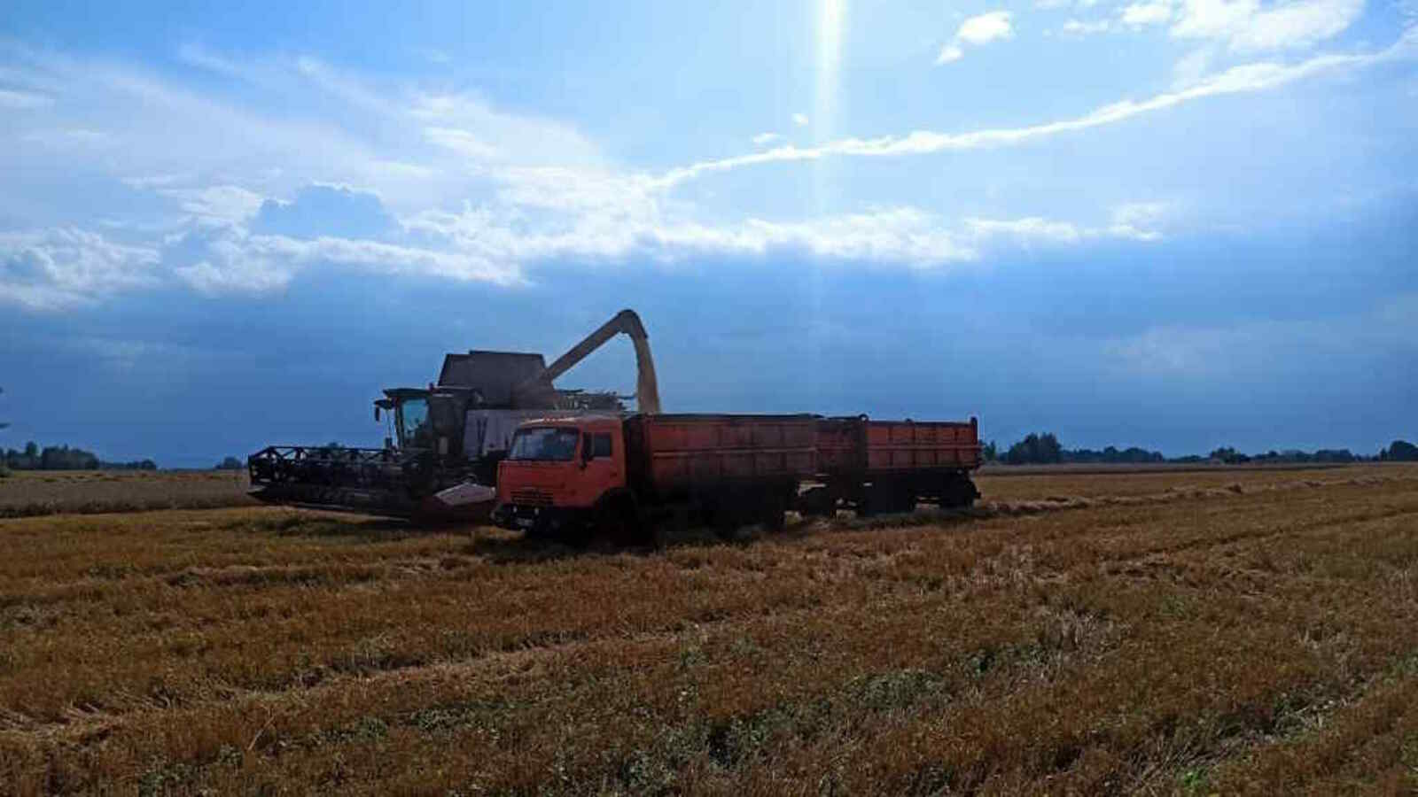 В борьбе за урожай