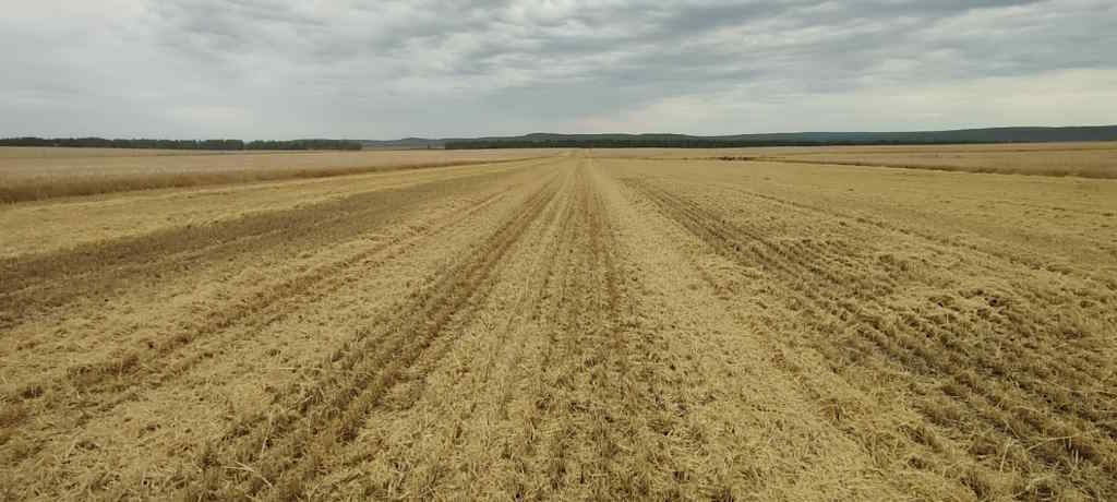 В борьбе за урожай