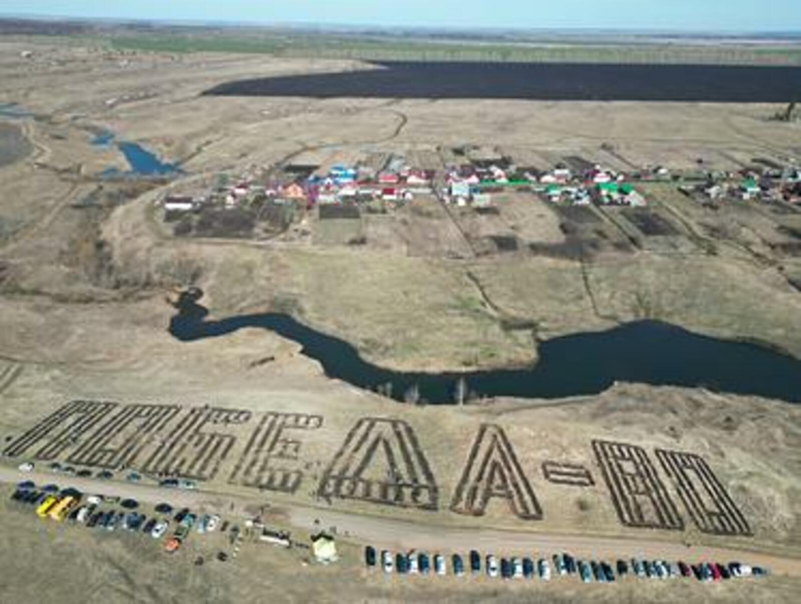 Башкортостан в лидерах по количеству высаженных деревьев